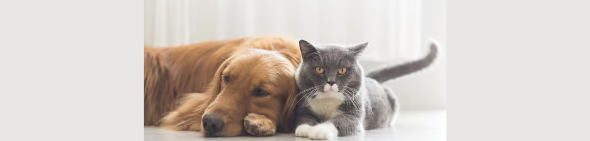 Untitled design (21)