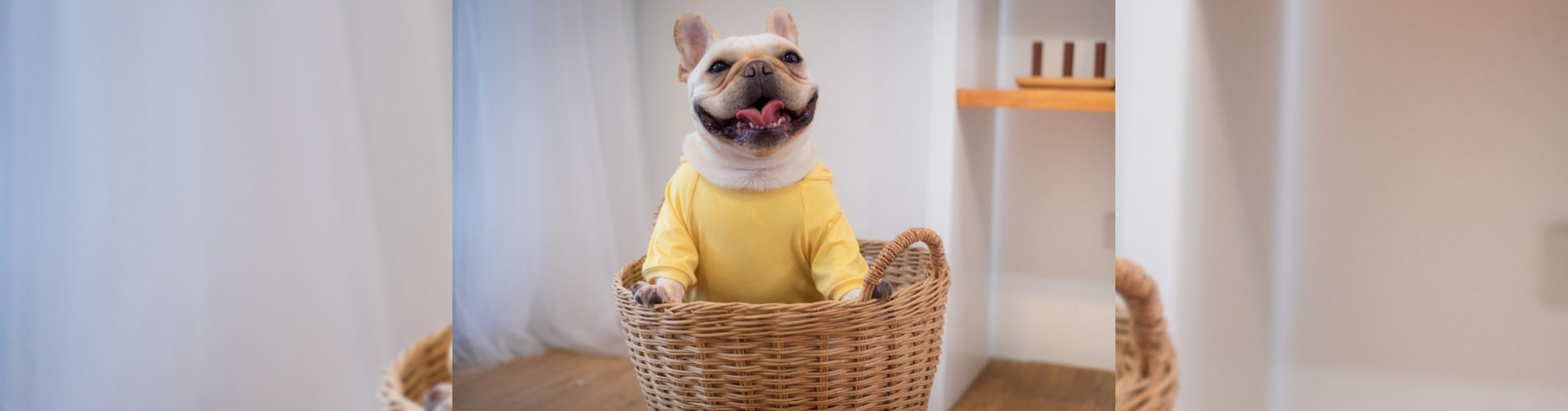 Untitled design (33)